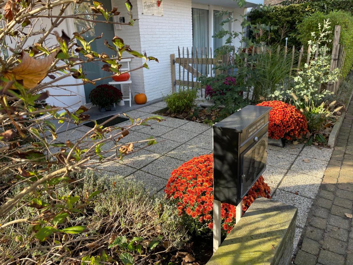 Guesthouse Poppies , Free Parking Ostende Exteriér fotografie